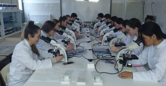 lab